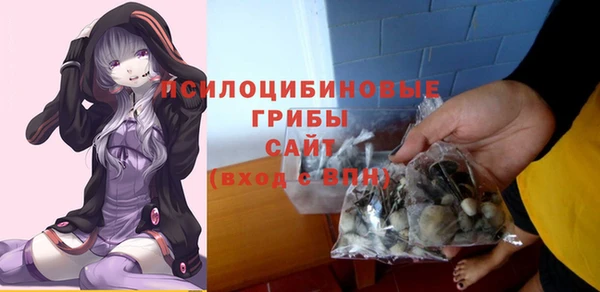 mdma Лагань