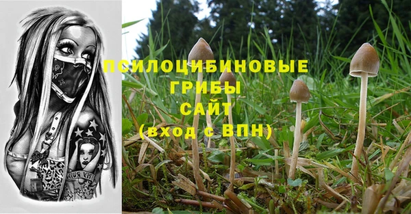 ГАЛЛЮЦИНОГЕННЫЕ ГРИБЫ Лабытнанги