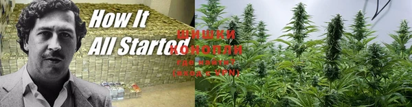ГАЛЛЮЦИНОГЕННЫЕ ГРИБЫ Лабытнанги