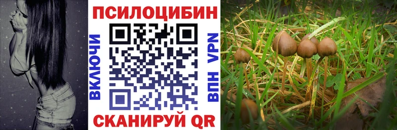 Псилоцибиновые грибы ЛСД Купить где Мариинск